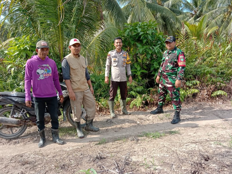 Pastikan Wilayah Kondusif, Babinsa Koramil 06/Kateman Bersama Bhabinkamtibmas Giat Patroli Tapal Batas