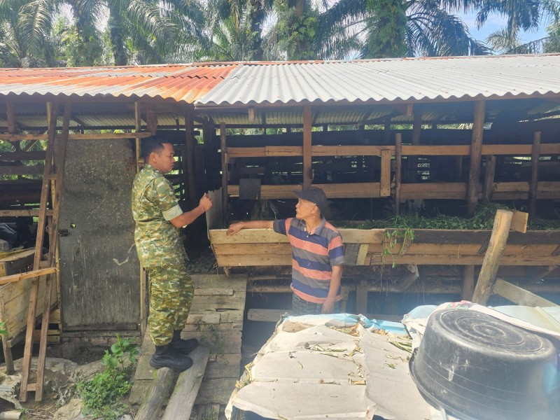 Babinsa Serda Holmes Pasaribu Lakukan Pendataan dan Pemantauan PMK di Kampung Olak