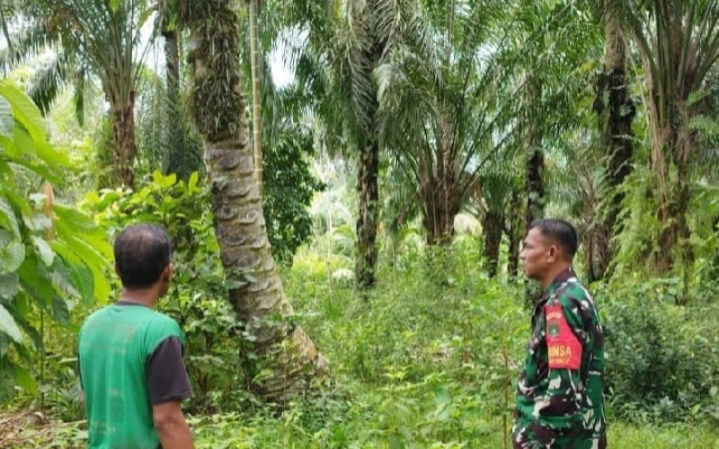 Antisipasi Karhutla, Babinsa Sungai Sembilan Patroli dan Sosialisasi Larangan Bakar Lahan