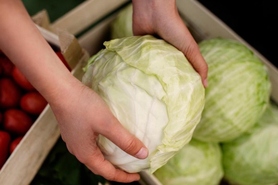 5 Makanan Sehat Murah yang Sering Diremehkan Padahal Kaya Nutrisi