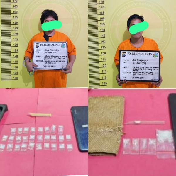 Satresnarkoba Polres Pelalawan Grebek Dua Pelaku Narkoba di Sorek Satu, Puluhan Paket Sabu Diamankan