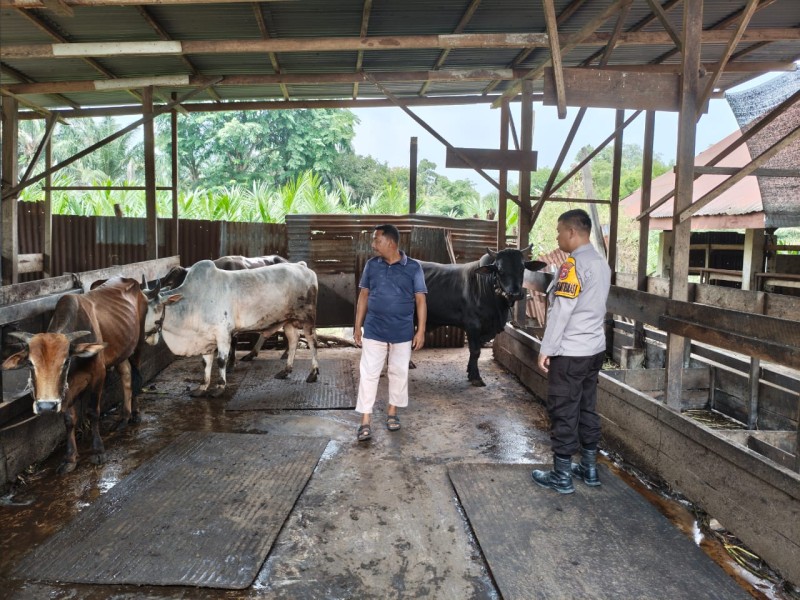 Bhabinkamtibmas Polsek Pasir Penyu Sambangi Peternak Sapi, Dorong Kemandirian Pangan Masyarakat