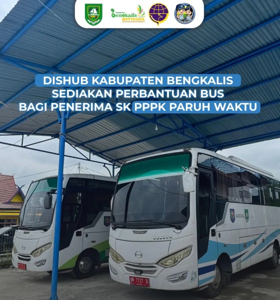 Dishub Bengkalis Siapkan Bus Gratis untuk Peserta Pelantikan PPPK Paruh Waktu