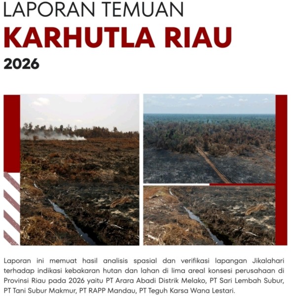 Jikalahari Bongkar 583 Hektare Karhutla di Konsesi Korporasi, Desak Bareskrim Usut Tuntas
