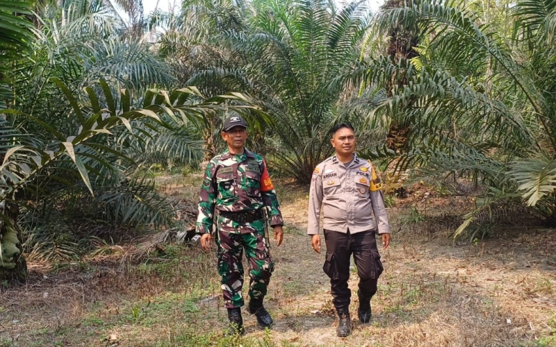 Cegah Karhutla, Babinsa Gurun Panjang Patroli dan Sosialisasi Larangan Bakar Lahan