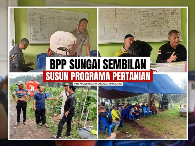 BPP Sungai Sembilan Susun Programa Pertanian, Poktan Dorong Usulan Alsintan Sesuai Kebutuhan Petani