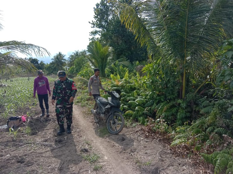 Babinsa Koramil 06/Kateman Bersinergi Bersama Polsek Kateman Gelar Patroli Tapal Batas, Pastikan Wilayah Aman dari Karhutla