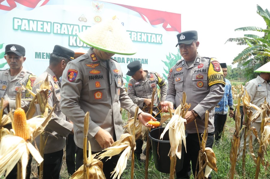 Kapolres Inhu Panen Raya Jagung Serentak Kuartal II Bersama Presiden dan Kelompok Tani