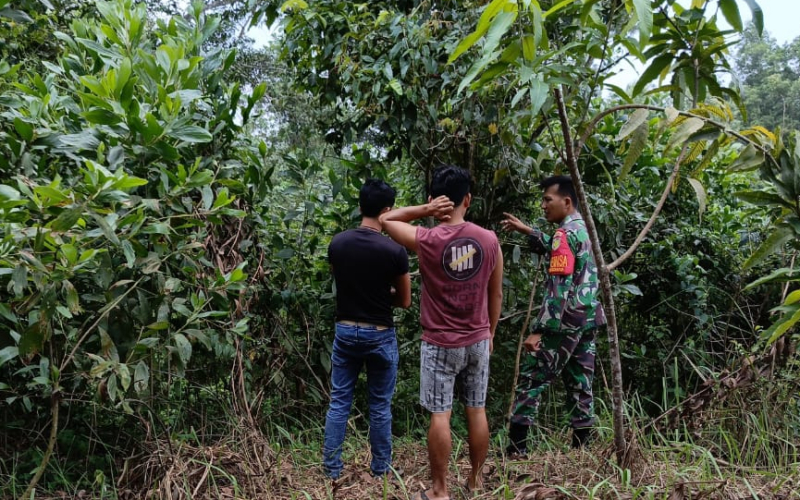 Patroli Karhutla Rutin, Babinsa Bukit Kayu Kapur Ajak Warga Jaga Lingkungan