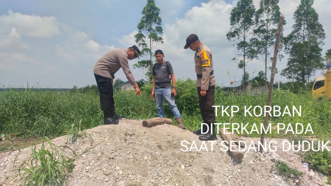 Karyawan Subkontraktor PT Madukoro Lestari Estate Tasik Tewas Diterkam Harimau Sumatera di Sungai Ara