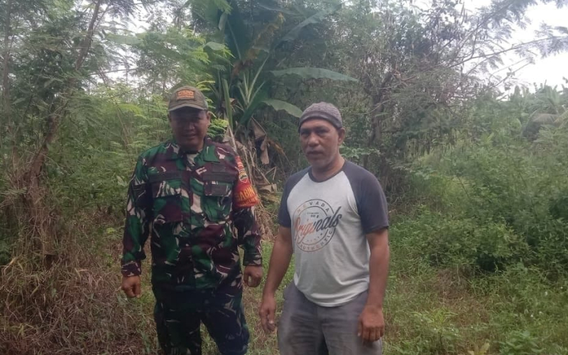 Patroli Karhutla Terus Digesa Babinsa Koramil 01 Dumai
