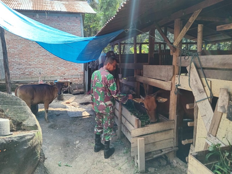 Serma Sri Wahyudi Lakukan Sosialisasi dan Monitoring PMK di Lubuk Jering