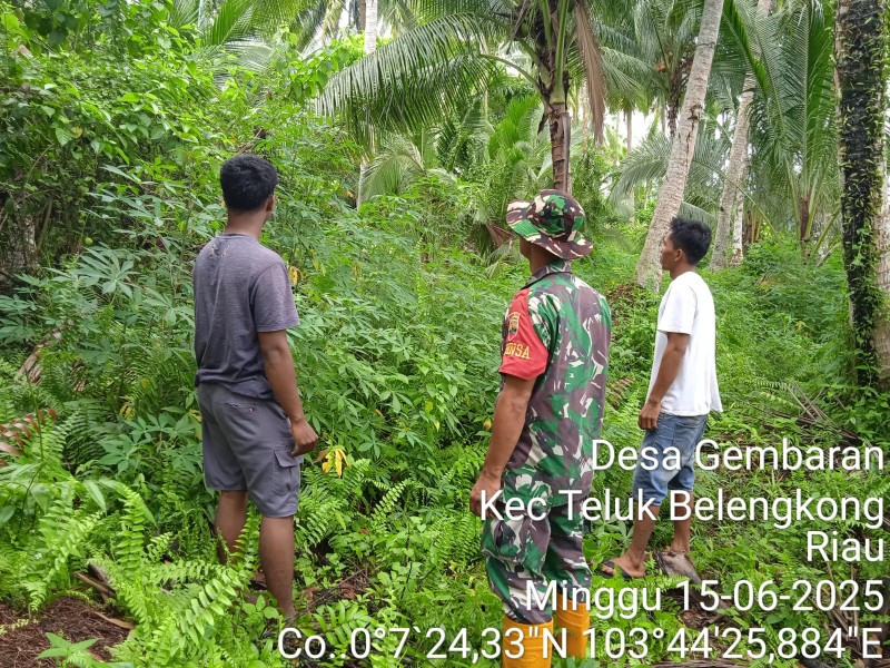 Cegah Kebakaran Hutan dan Lahan, Babinsa Koramil 06/Kateman Intensifkan Patroli Karhutla