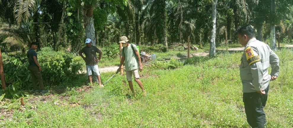 Pembersihan Lahan Penanaman Jagung Kuartal II di Kampung Rantau Bertuah, Bhabinkamtibmas Polsek Minas Lakukan Pengecekan dan Persiapan Lahan