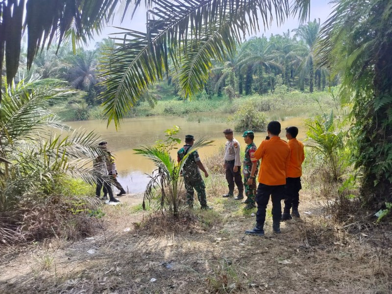 Babinsa Koramil 03/Minas Laksanakan Patroli Karhutla, Tidak Ditemukan Titik Api