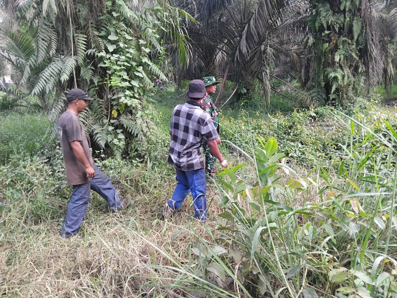 Babinsa Koramil 04/Perawang Gelar Patroli Karhutla di Tualang, Tidak Ditemukan Titik Api