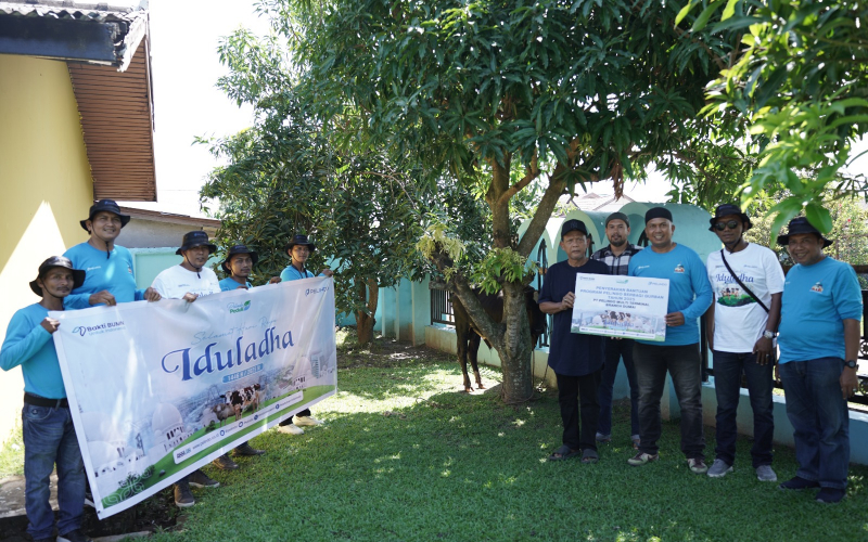 Idul Adha 1446 H, Pelindo Group Dumai Salurkan 8 Ekor Sapi dan 29 Ekor Kambing