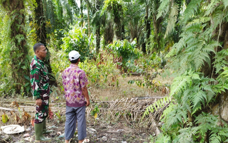 Babinsa Turun Langsung Pantau Lahan Rawan Kebakaran di Sungai Sembilan