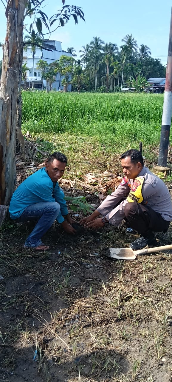 Green Policing Polsek Reteh, Tanam Matoa di Desa Pulau Kecil