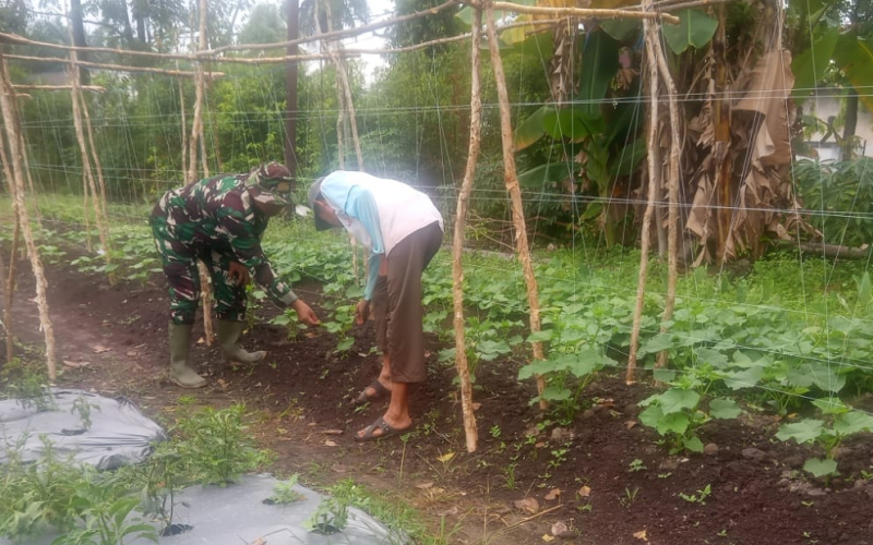 Babinsa Bagan Keladi Intensifkan Patroli Karhutla dan Sosialisasi Banjir di Dumai Barat