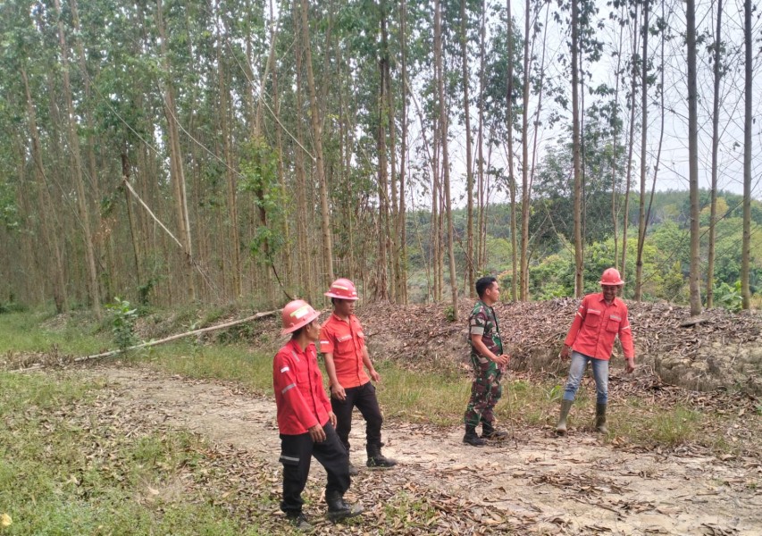 Babinsa Serda Holmes Pasaribu Laksanakan Patroli Karhutla di Kampung Olak, Sungai Mandau