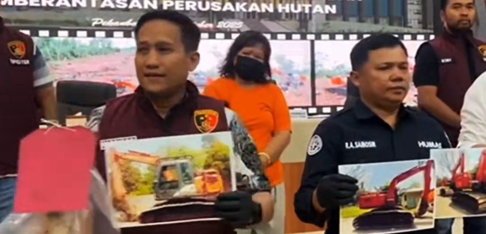 Perempuan 55 Tahun Diringkus Polda Riau Gegara Babat Hutan Konservasi Giam Siak Kecil