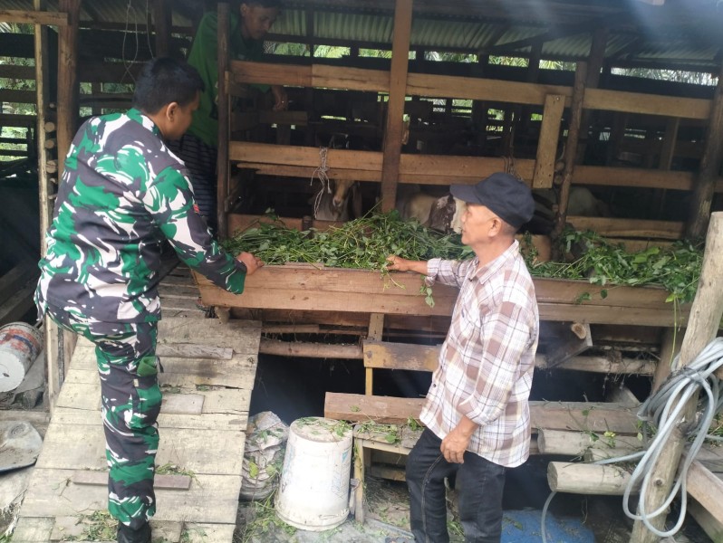 Babinsa Koptu Salomo Sembiring Sosialisasikan Pencegahan PMK kepada Peternak Kambing di Minas Jaya
