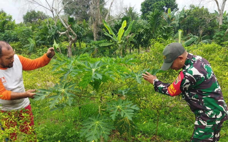Babinsa Serka Abu Kasim Patroli Karhutla Rutin, ini Titiknya