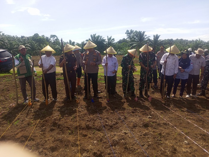 Polres Bengkulu Selatan Tanam Jagung di Lahan 10 Ha, Sinergi Dukung Ketahanan Pangan