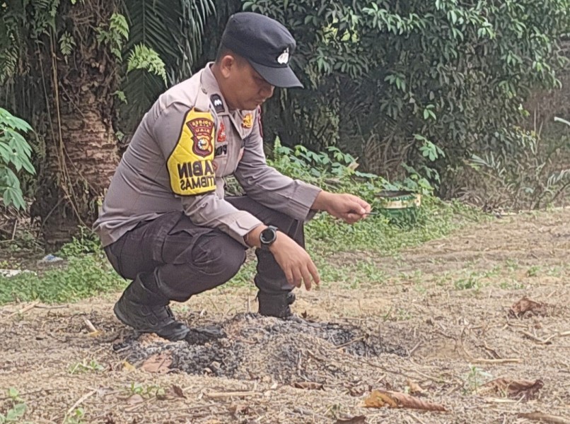 Dukung Ketahanan Pangan, Polsek Minas Dampingi Kelompok Tani Bersihkan Lahan Jagung Pipil di Minas Barat