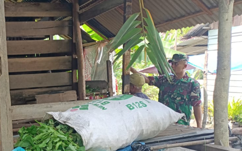 Peltu Edeng Pastikan Hewan Ternak di Wilayah Terbebas dari Ancaman Wabah Penyakit