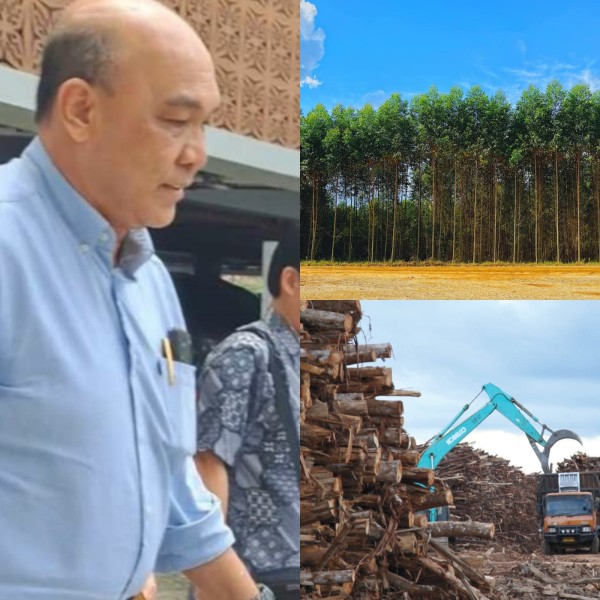 Jampidsus Kejagung Turun Gunung, Direktur PT RAPP Diperiksa Satgas Kawasan Hutan di Riau