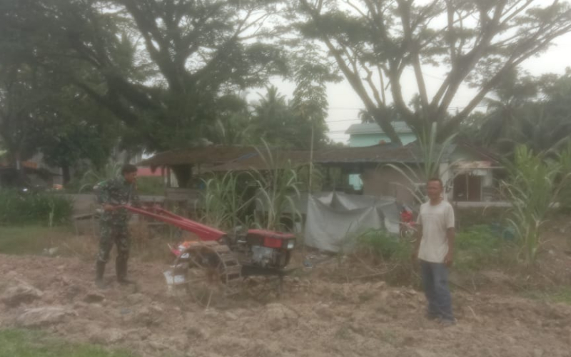 Babinsa Koramil 03 Dampingi dan Edukasi Petani Jagung
