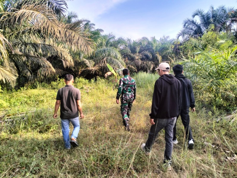 Babinsa Koptu Salomo Sembiring Laksanakan Patroli Karhutla di Minas Jaya, Titik Api Nihil