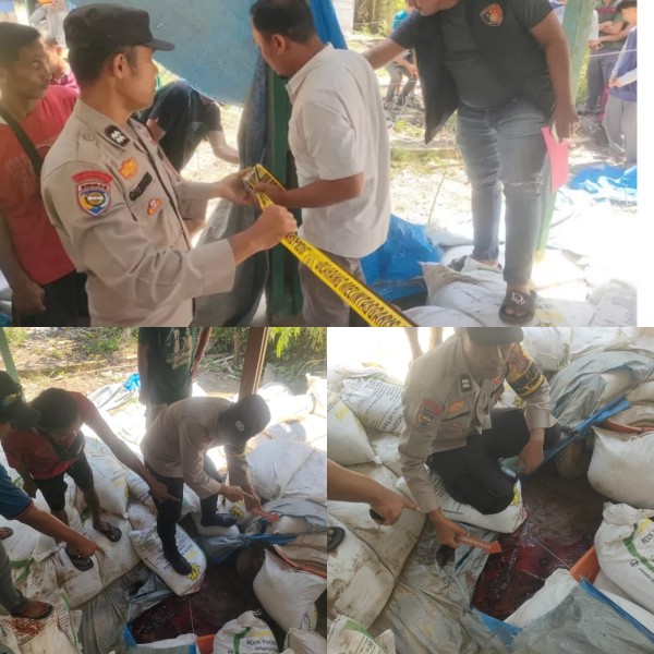 Tragedi Kecelakaan Kerja di Gudang Pupuk PT MUP Gondai: 1 Tewas, 3 Luka-Luka