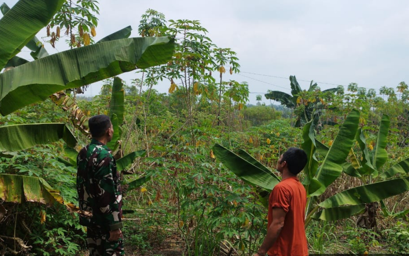 Upaya Preventif Karhutla, Babinsa Batu Teritip Sambangi Wilayah Rawan