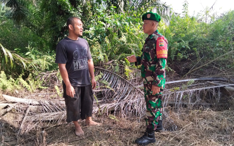 Babinsa Koramil 01 Patroli, Wujudkan Wilayah Bebas Karhutla