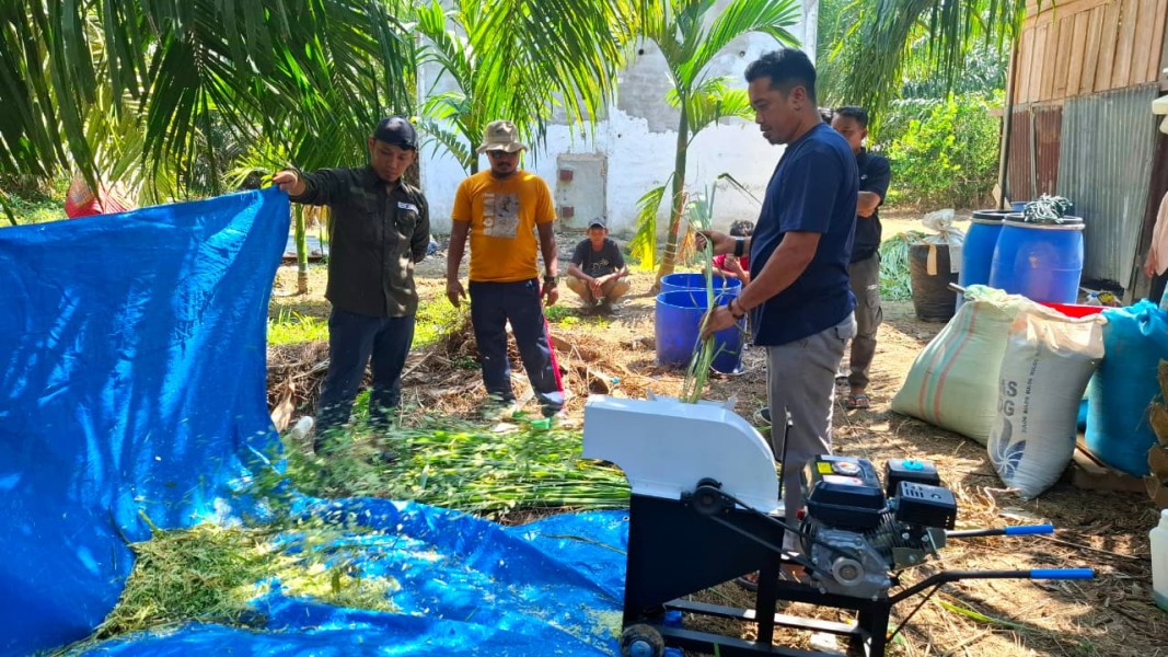 Pemuda Adat Suku Bonai Perkuat Kapasitas Peternakan Melalui Program Semarak Riau