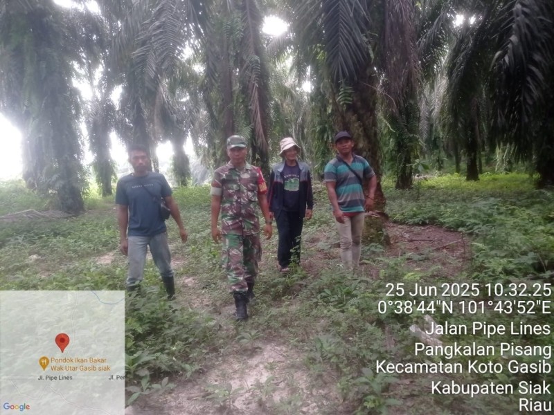 Babinsa Koramil 04/Perawang Laksanakan Patroli Karhutla di Kuala Gasib, Siak: Tak Ditemukan Titik Api