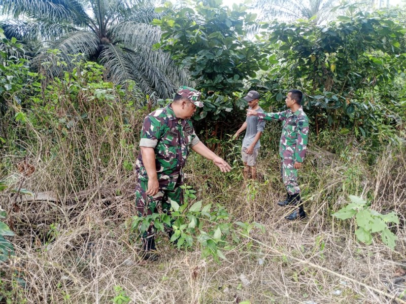 Babinsa Serka Sri Wahyudi Gelar Patroli Karhutla di Lubuk Jering
