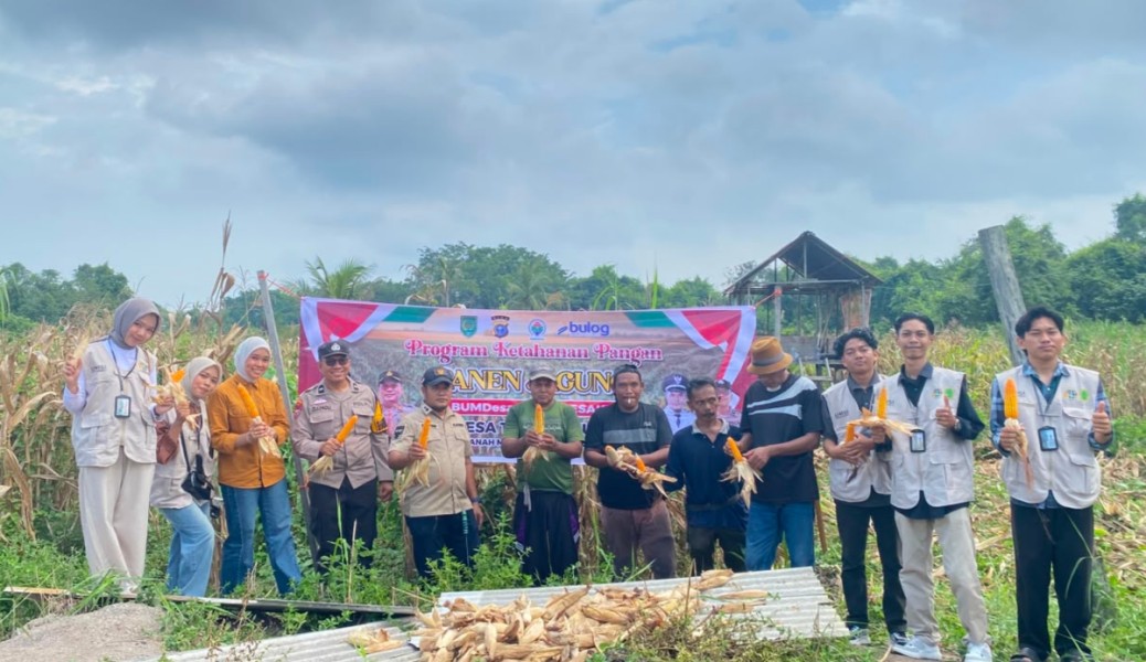 Sinergi Polri dan Petani, Panen Jagung di Tekulai Hulu Berhasil Digelar