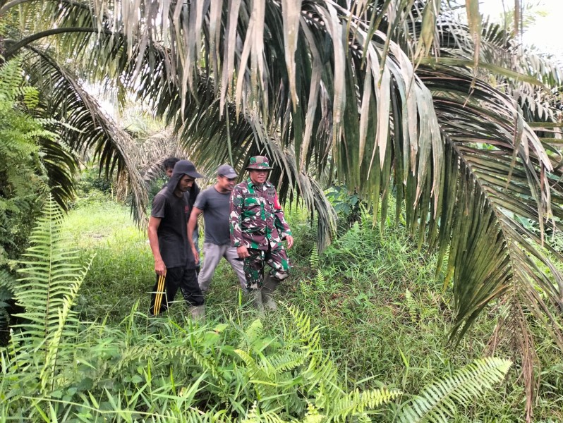 Serma Risman Girsang Patroli Karhutla, Pastikan Wilayah Sungai Selodang Bebas Titik Api