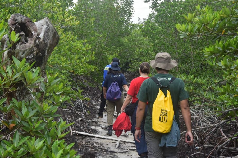 Desa Teluk Pambang akan Hadirkan Wisata Kunang-kunang Mangrove