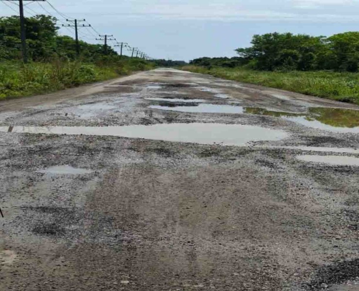 AMPAK Riau Desak Penegakan Hukum terhadap PT EPE Terkait Dugaan Kerusakan Jalan Sungai Rawa