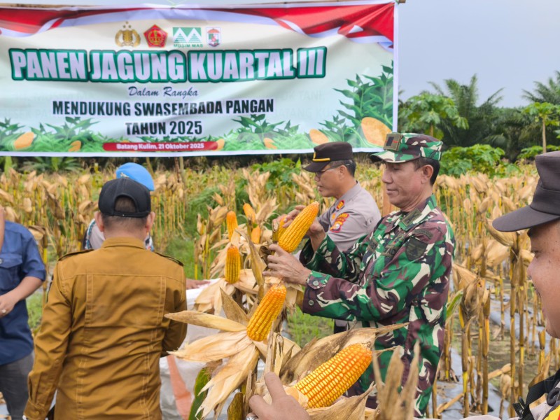 PT Musim Mas Panen 15 Ton Jagung di Batang Kulim, Teguhkan Komitmen Dukung Ketahanan Pangan Nasional