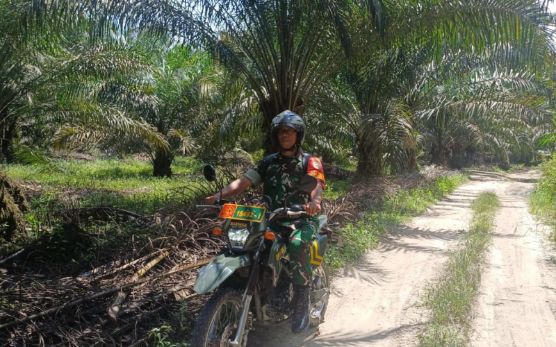 Babinsa Serka M Aslim Lubis Cegah Potensi Kebakaran Hutan