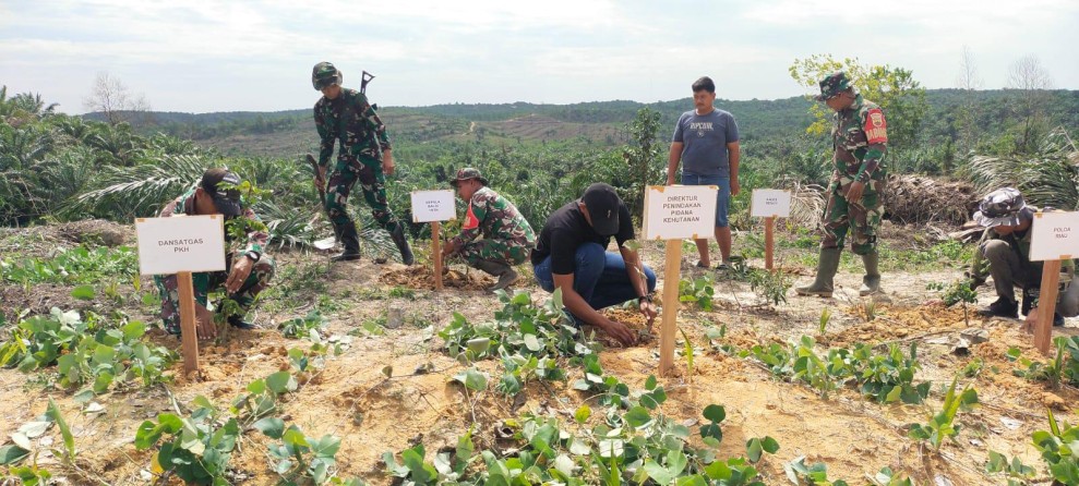 Tim Satgas PKH Lakukan Reforestasi dan Penumbangan Lahan Sawit yang Diberikan Warga secara Sukarela