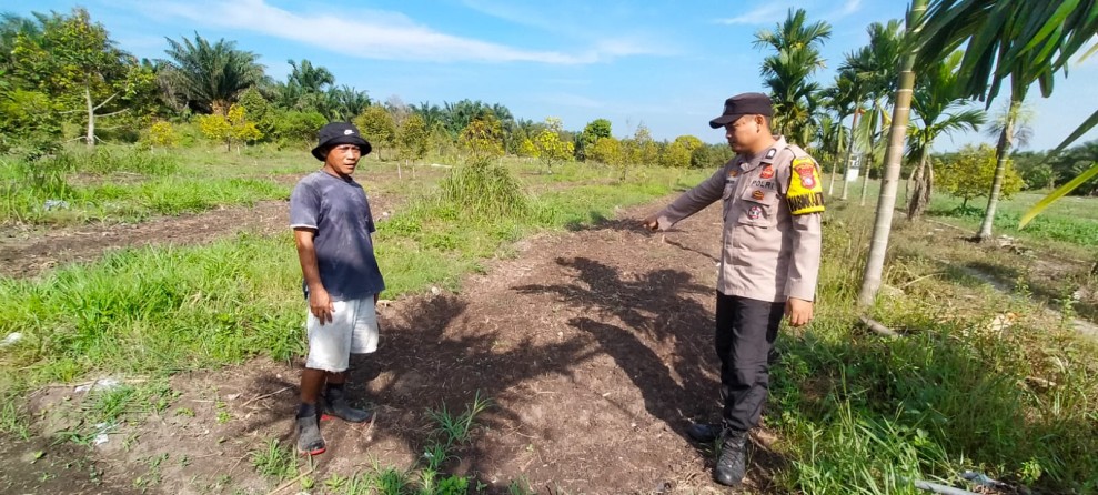 Dukung Ketahanan Pangan, Polsek Koto Gasib Cek Kesiapan 1 Hektare Lahan Jagung Poktan Mekar Sari