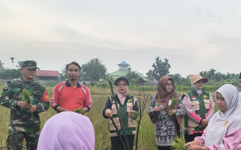 Babinsa Teluk Binjai Dampingi Gerakan Tanam Bersama, Perkuat Ketahanan Pangan di Dumai Timur