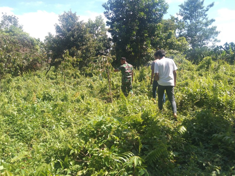 Babinsa Koramil 04/Perawang Laksanakan Patroli Karhutla, Titik Api Nihil